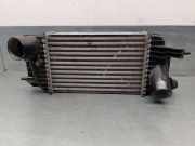 Ladeluftkühler 144611KC0B Nissan Juke (F15) SUV 1.6 DIG-T 16V (MR16)