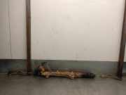 Schlauch 31293257 Volvo XC60 I (DZ) SUV 2.4 D5 20V 205 AWD (D5244T10)