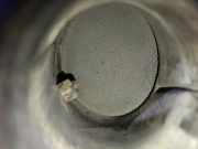 Katalysator 8E0254200A Audi A4 Cabriolet (B6) Cabrio 1.8 T 20V (BFB)