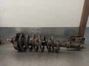 Stoßdämpfer Rechts Vorne 8200212633A Renault TRAFIC CAJA CERRADA (AB 4.01) 2.5 dCi Diesel CAT