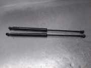 Gasdruckfedern Set Hinten 9683733980 Citroën C3 (SC) Schrägheck 5-drs 1.4 HDi (DV4TD(8HZ))