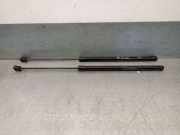 Gasdruckfedern Set Hinten 81831CO000 Hyundai i20 (BC3) Schrägheck 5-drs 1.2 16V (G4LF)