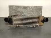 Ladeluftkühler 52079477 Jeep Grand Cherokee (WG/WJ) SUV 2.5 TD (M52)