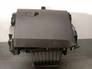 Handschuhfach 685005441R Renault II (HF_) E-TECH 160