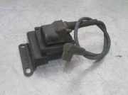 Zündspule Daewoo / Chevrolet Nexia Schrägheck 1.5 GL 8V (G15MF)