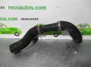 Schlauch 2W938286BE Jaguar XJ (X350) Limousine R 4.2 V8 32V (TB)