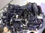 Stoßdämpfer Links Hinten Citroën ZX Break Kombi 1.9D Reflex (XUD9A-L(D9B))