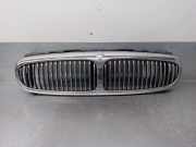 Grill 1X435510AE Jaguar X-type Limousine 2.5 V6 24V (XB)