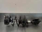 Stoßdämpfer Rechts Vorne 8200301328 Renault II (BG0) 2.2 dCi Turbodiesel