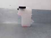 Ausgleichbehälter - - G91H002011 Toyota AURIS 1.8 16V (Híbrido)