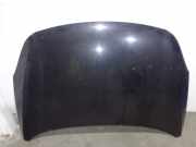 Motorhaube 664003J010 Hyundai iX55 SUV 3.0 CRDI V6 24V (D6EA)