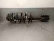 Stoßdämpfer Links Vorne 50709510 Lancia Musa Großraumlimousine 1.4 16V (843.A.1000)