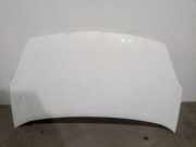 Motorhaube 7901P7 CitroÃ«n CITROÃ‹N Furgoneta/monovolumen (B9) 1.6 HDi 90