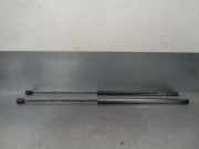 Gasdruckfedern Set Hinten A2208800329 Mercedes-Benz S (W220) Limousine 5.0 S-500 V8 24V (M113.960)