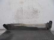 Ladeluftkühler 8200880552A Dacia 1.5 dCi Diesel FAP CAT