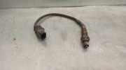 Lambdasonde 1928404687 Iveco New Daily IV Van 35C13V, C13V/P, S13V, S13V/P (F1AE0481V)