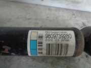 Stoßdämpfer Links Hinten 9809739280 Citroën C4 Cactus (0B/0P) Schrägheck 5-drs 1.6 e-Hdi 92 (DV6DTED(9HP))