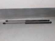 Gasdruckfedern Set Hinten 1Z5827550B Skoda Octavia (1Z3) Liftback 1.6 TDI Greenline (CAYC)