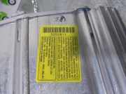 Türgriff Außen Links Hinten Dacia Duster (SR) SUV 1.6 16V (H4M-729(H4M-D7))