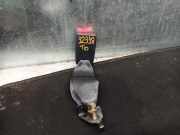 Motorhaube 664003J010 Hyundai iX55 SUV 3.0 CRDI V6 24V (D6EA)