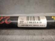 Antenne 65206832065 BMW SERIE 5 BERLINA (G30) 2.0 16V Turbodiesel