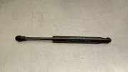 Gasdruckfedern Set Hinten 51479149120 BMW (E71, E72) xDrive 35 d