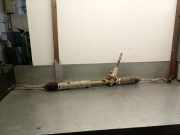 Lenkgetriebe 9813692680 Opel Vivaro Van 1.5 CDTI 120 (D15DTH(DV5RUC))