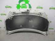 Motorhaube 651000024R Renault I (HY_) 2.0 dCi (HY0K)