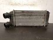 Ladeluftkühler 1498987080 Peugeot Expert (G9) Van 1.6 HDi 90 (DV6UTED4(9HU))