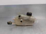 Ausgleichbehälter - - 217100005R Renault Megane III Coupe (DZ) Schrägheck 3-drs 1.2 16V TCE 130 Start & Stop (H5F-404(H5F-B4))