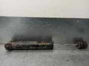 Stoßdämpfer Links Hinten 1263261700 Mercedes-Benz S (W126) Limousine 500 SE,SEL (M117.961)