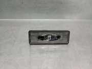 Kennzeichenbeleuchtung 265101139R Renault II (HF_) TCe 90 (HFM6)