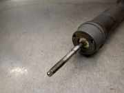 Stoßdämpfer Links Hinten 562106719R Nissan Juke (F16) SUV 1.0 DIG-T 12V (HR10DDT(H5D))