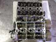 Zylinderkopf 04C103404L Audi A3 Sportback (8VA/8VF) Schrägheck 5-drs 1.0 TFSI 12V (CHZD)