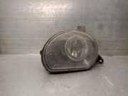 Nebelscheinwerfer Rechts Vorne 8P0941700A Audi Q7 (4LB) SUV 3.0 TDI V6 24V (BUG)