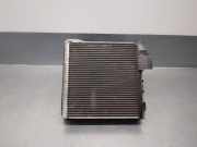Klima Verdampfer 1K0820679 Volkswagen Tiguan (5N1/2) SUV 2.0 TDI 16V 4Motion (CFFB(Euro 5)) CFFB(Euro 5)