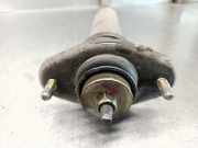 Stoßdämpfer Rechts Hinten MR554465 Mitsubishi Space Wagon (N8/N9) Großraumlimousine 2.4 16V GDI GLX (4G64(GDI))