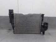 Ladeluftkühler T954128B Opel C Furgoneta (K0) 1.5
