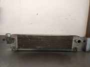 Ladeluftkühler 14461BB30A Nissan Qashqai (J10) SUV 2.0 dCi (M9R(Euro 5))