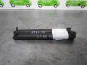 Gasdruckfedern Set Hinten 8402195 BMW X5 (E53) SUV 3.0d 24V (M57-D30(306D1))