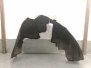 Innenkotflügel Links Hinten 5FF810972 Cupra Formentor SUV 1.5 TSI 16V (DPCA) DPCA