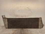 Ladeluftkühler 8200700172 Renault Megane II (BM/CM) Schrägheck 1.5 dCi 105 (K9K-732(K9K-P7))