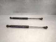 Gasdruckfedern Set Hinten 8083GL Peugeot 406 Coupé (8C) Coupé 2.2 HDI 16V FAP (DW12TED4(4HX))