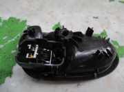 Stoßstange Vorne DPB500461LML Land + Range Rover Range Rover III (LM) Geländewagen 3.6 TDV8 32V (368DT)