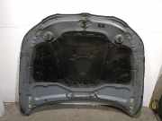Motorhaube 41617111385 BMW 5 serie (E60) Limousine 525d 24V (M57N2-D30(306D3))