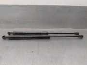 Gasdruckfeder Set Vorne 51237129190 BMW 3 serie (E93) Cabrio 320i 16V (N43-B20A)