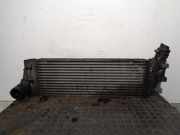 Ladeluftkühler 8200468425 Renault Grand Scénic II (JM) Großraumlimousine 1.9 dCi 120 (F9Q-812)