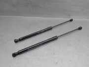 Gasdruckfedern Set Hinten 904507649R Renault II (HF_) TCe 90 (HFM6)