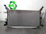 Radiator 214100056R Renault LAGUNA III KTE3/ KTE30E 3.0