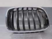 Grill 51117210726 BMW X3 (F25) SUV xDrive20d 16V (N47-D20C)